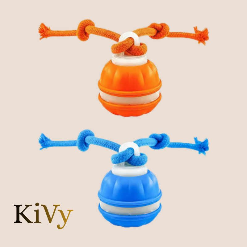 KiVy balle interactive et énergique