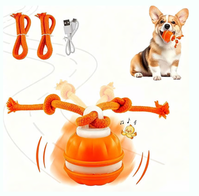 KiVy balle interactive et énergique