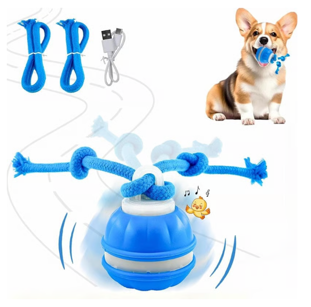 KiVy balle interactive et énergique