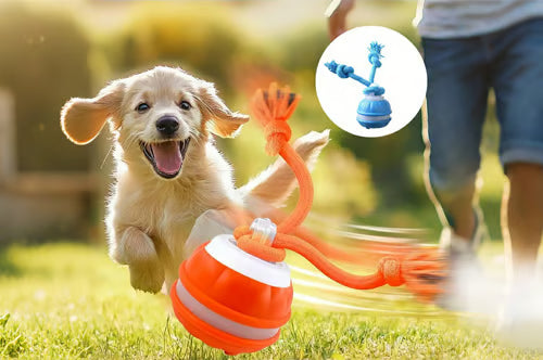 Balle interactive et énergique